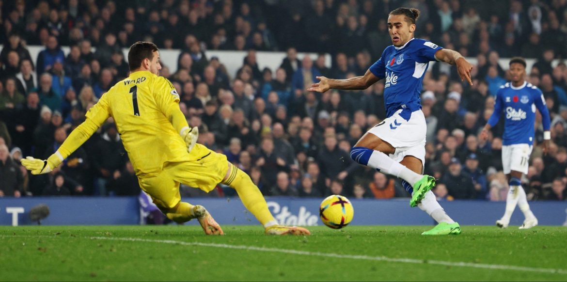 Everton: DCL injury could unearth Cannon